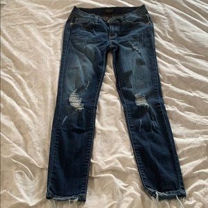 Size 27 Judy Blue Skinny Jeans